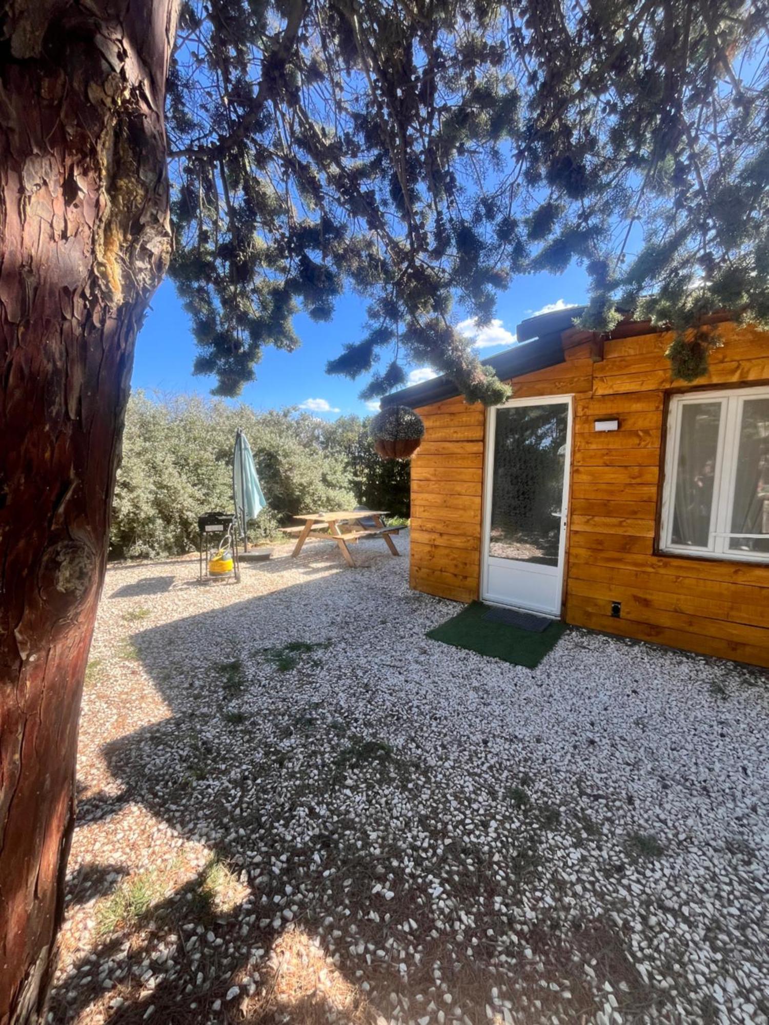 Willa Location T3 Jardin Avec Piscine Mèze Zewnętrze zdjęcie